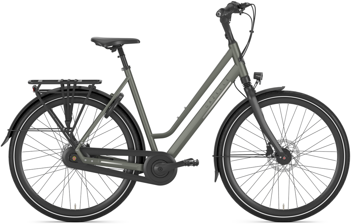 Gazelle Chamonix C8 Dame 2024 - Grøn