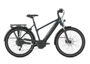 Gazelle Medeo T10 HMB Dame 2025 - Pine Greengloss