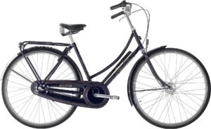 Raleigh Tourist de Luxe Dame 3g 2023 - blå
