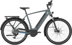 Gazelle ULTIMATE T10 HMB Herre 2024 - Grå