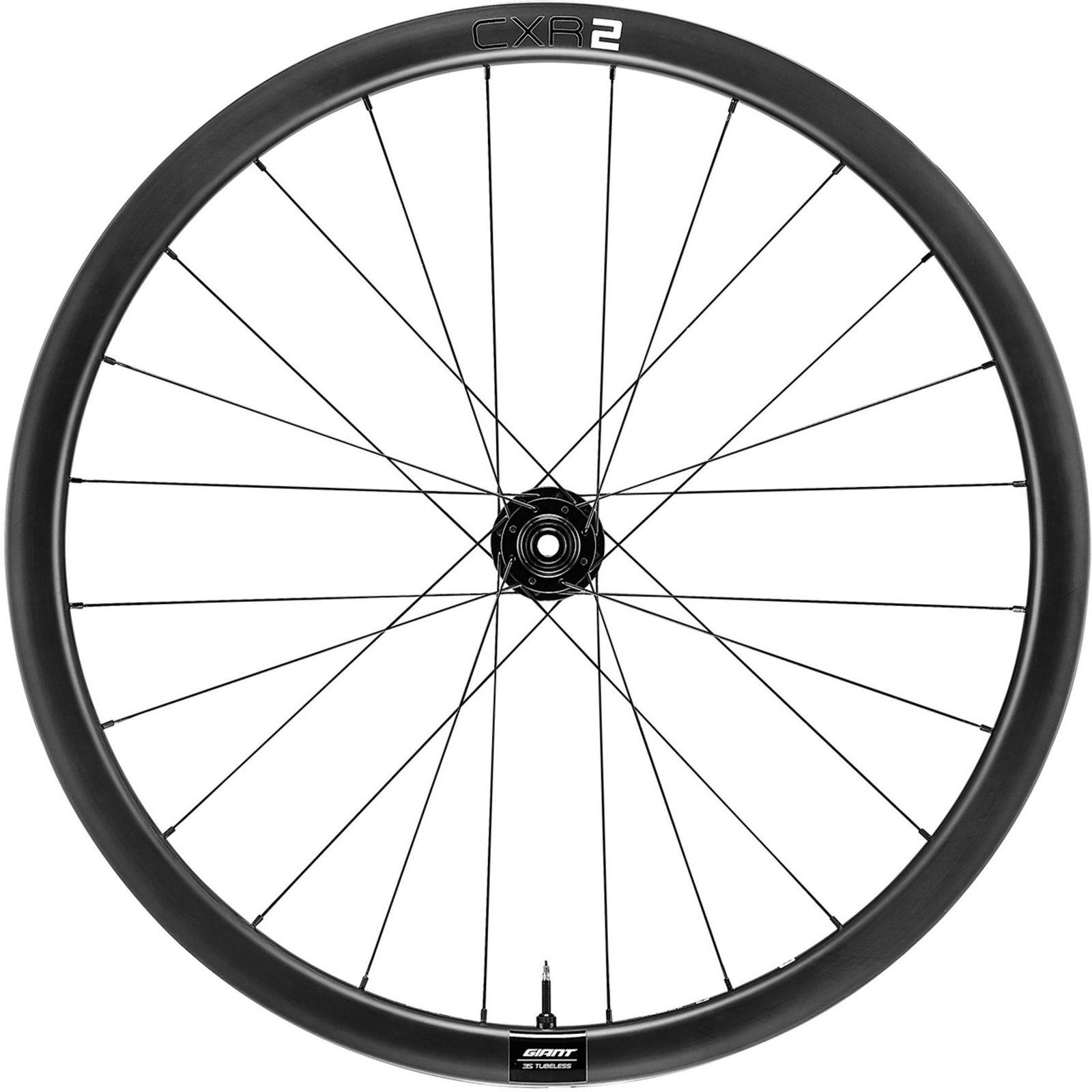 Giant CXR 2 - Front