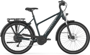 Gazelle Medeo T10 HMB Dame 2025 - Pine Greengloss