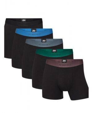 JBS 5-pak bambus underbukser "luxury" gaveæske i multifarver til herre. JBS 5-pak bambus underbukser "luxury" gaveæske i multifarver til herre.