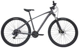 Centurion Violator MTB 29" 21g - Grå Centurion Violator MTB 29" 21g - Grå
