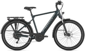 Gazelle Medeo T10 HMB Herre 2025 - Grøn