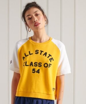 Superdry Blokfarvet Collegiate Sweat T-shirt