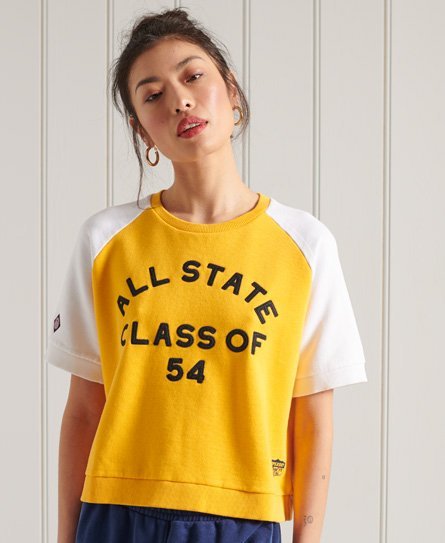 Superdry Blokfarvet Collegiate Sweat T-shirt