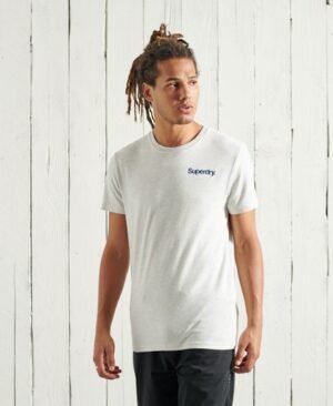 Superdry Core Logo High Peaks T-shirt