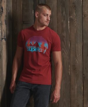 Superdry Core Logo Wilderness T-shirt