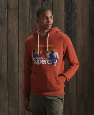 Superdry Core Logo Wilderness hættetrøje