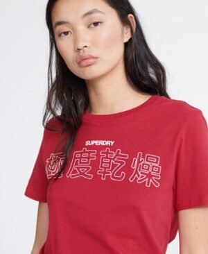 Superdry Japan Symbols T-shirt