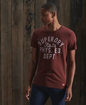 Superdry Limited Edition Collegiate T-shirt