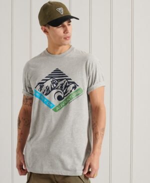 Superdry Mountain T-shirt med afslappet pasform og grafik