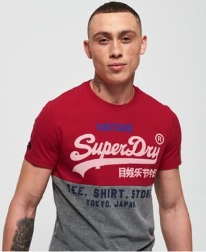 Superdry Shirt Shop T-shirt med trefarvet logo og paneldesign