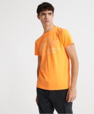 Superdry Vintage Logo Pop T-shirt med konturdesign Superdry Vintage Logo Pop T-shirt med konturdesign