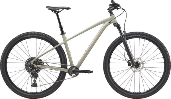 Cannondale Trail 1 29" 2025 - Grå