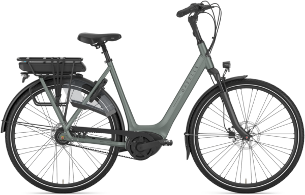 Gazelle Orange C8+ HMB Dame 2026 - TwiLight Green